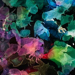 Meet your Posher, Aya